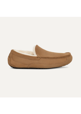 Ugg Ascot Suede Slipper