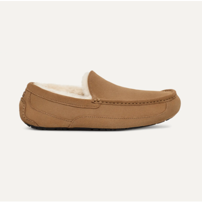 Ugg Ascot Suede Slipper
