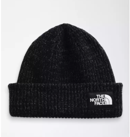 North Face Salty Lined Beanie