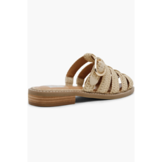 DV Dolce Vita Fyona Mule