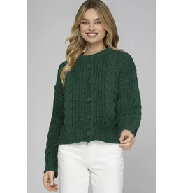 She + Sky Cable Knit Sweater Cardigan