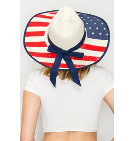 Something Special American Theme Wide Brim Straw Hat