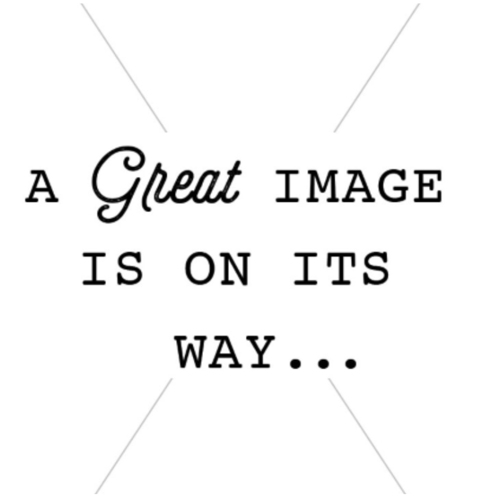 Staccato Staccato Jewel Bow Trim Pullover Sweater