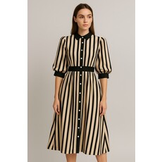 Fate Fate Stripe Satin Midi Shirtdress