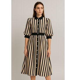 Fate Stripe Satin Midi Shirtdress