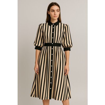 Fate Stripe Satin Midi Shirtdress
