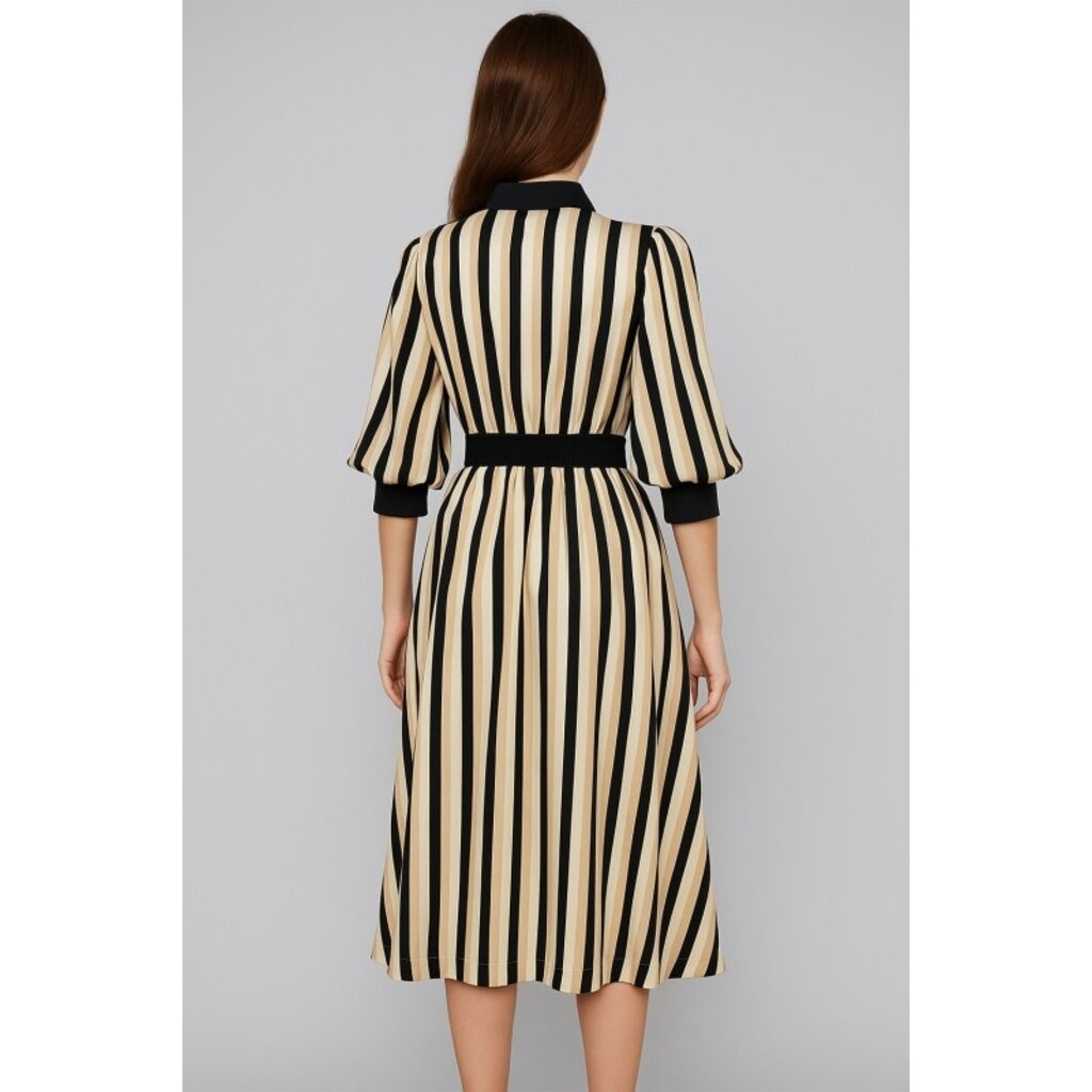 Fate Fate Stripe Satin Midi Shirtdress