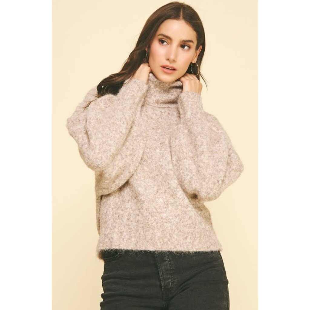 Pinch Pinch Turtle Neck Knit Sweater