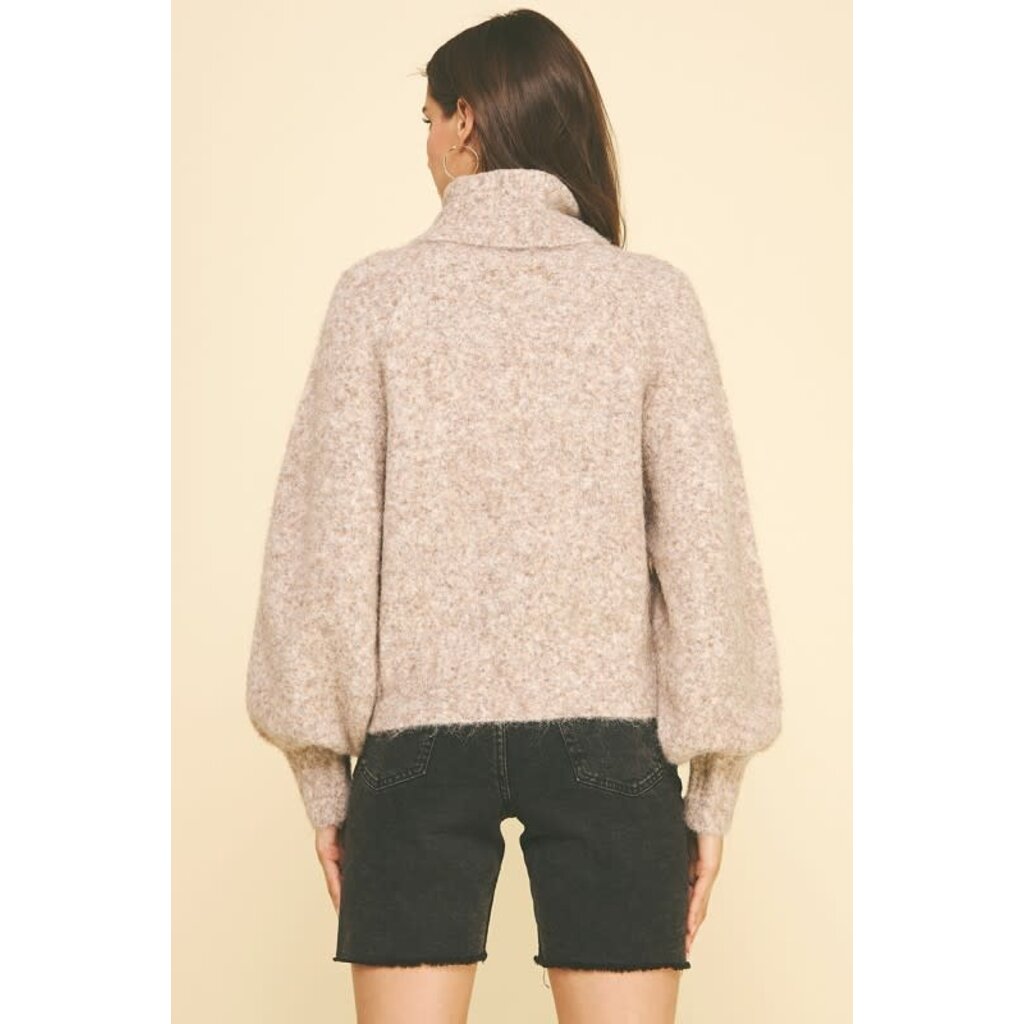 Pinch Pinch Turtle Neck Knit Sweater