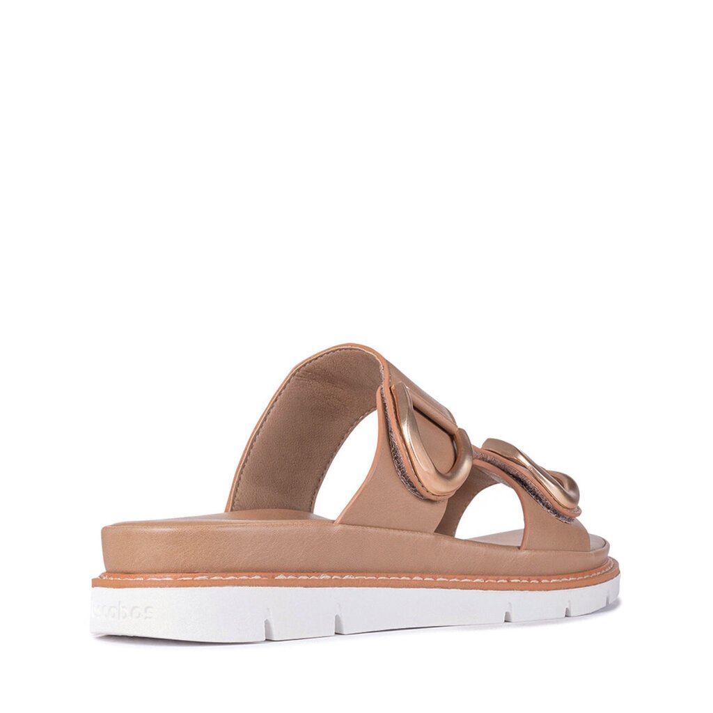 Los Cabos Los Cabos San Slide