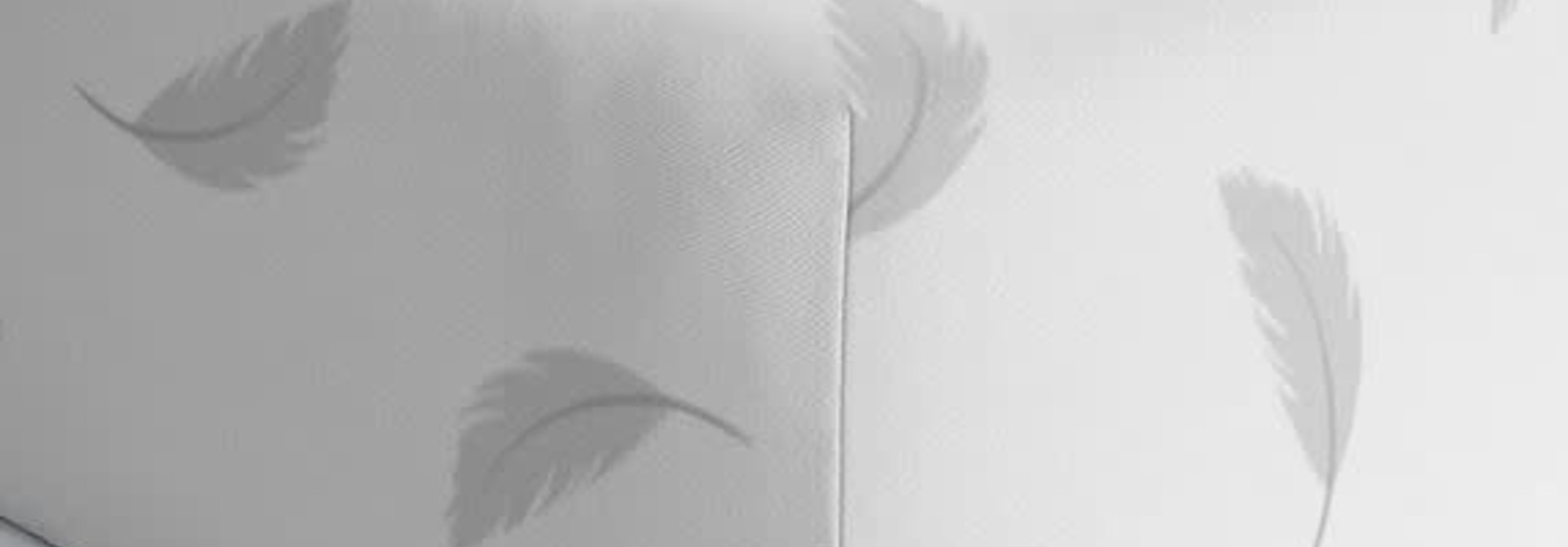 Drap contour coton flanelle - Plumes