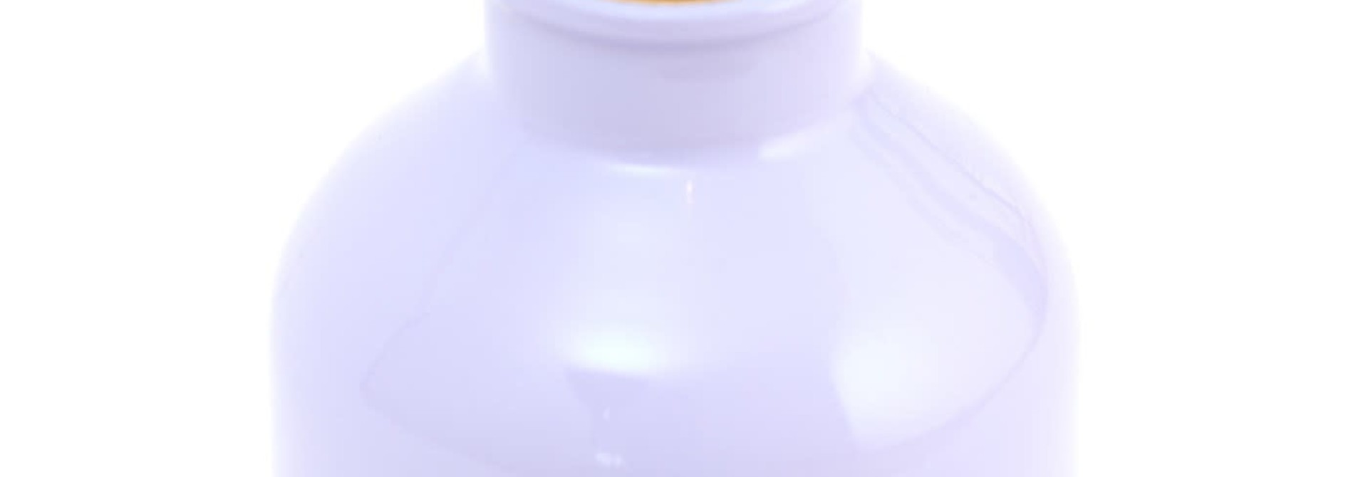 Bouteille Stainless - Lamas