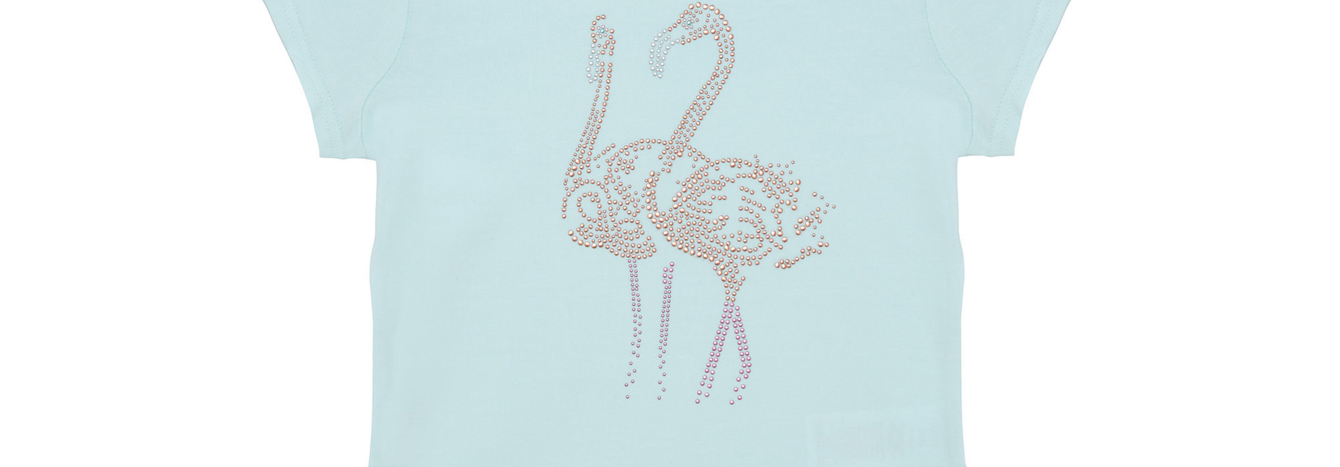 Chandail Flamants Tropical