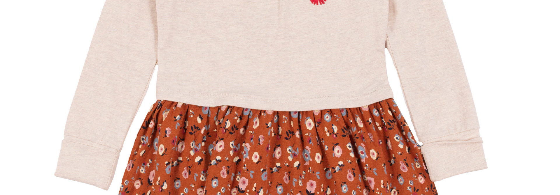 Robe - Dalmatiens & Compagnie