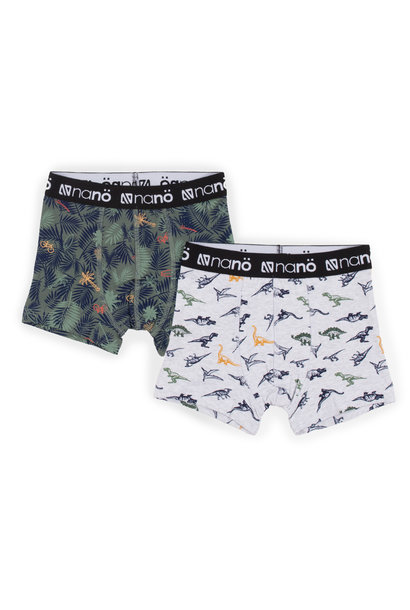 Boxers, paquet de 2 - DINO SAFARI