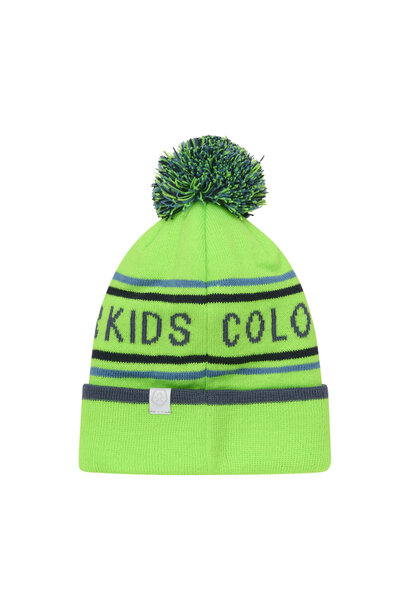 Tuque LOGO - GECKO