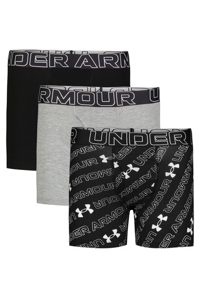 Boxer Perfo 3pk COTON Steel - UA BASIC