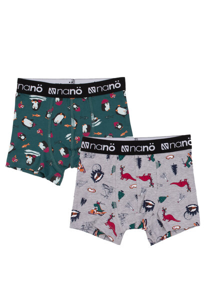 Boxers, paquet de 2 - DINOS DES FÊTES