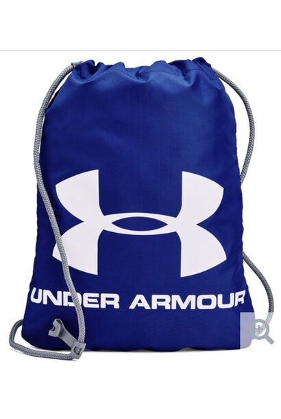 Sac de sport Ozsee BLEU - UA BASIC