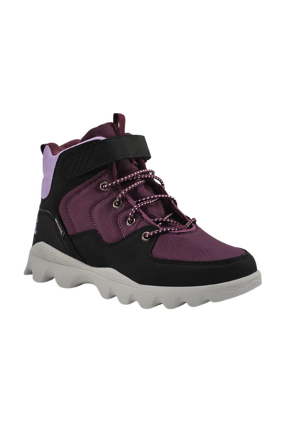 LYNXMID - Bottillons d'automne junior (Mûre)