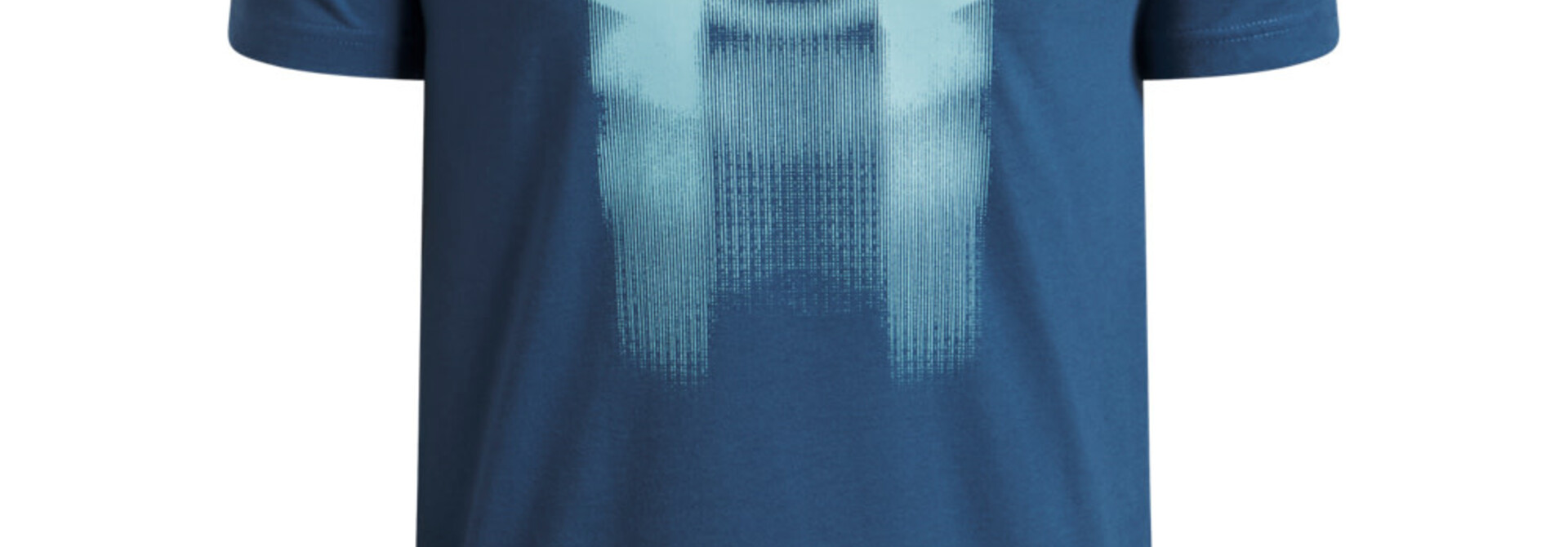 T-Shirt LOGO BLUR JUNIOR