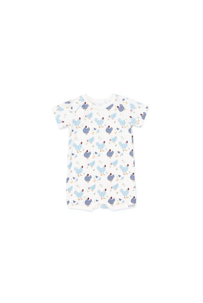 Barbotteuse en Modal - POULES