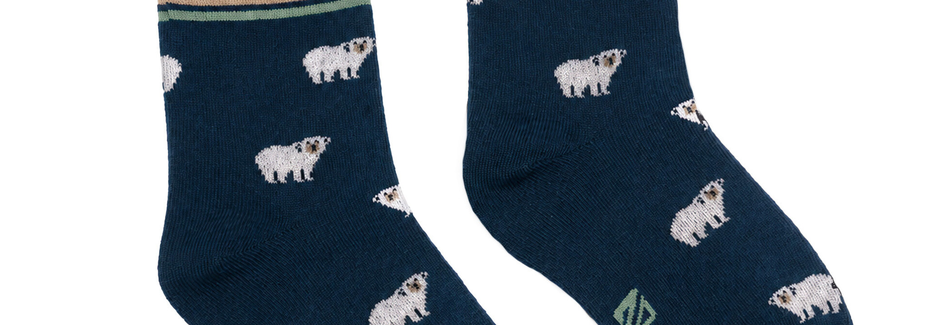 Chaussettes EXPLORATION DU NORD!
