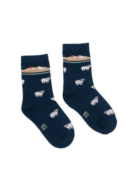 Chaussettes EXPLORATION DU NORD!
