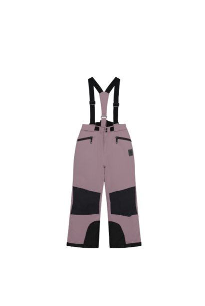 Pantalon de Ski AUBERGINE