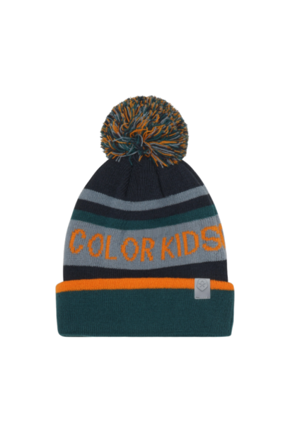 HAT - LOGO CK