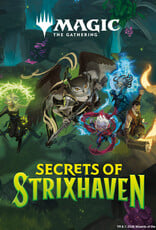 Wizards of the Coast MTG: Secrets of Strixhaven