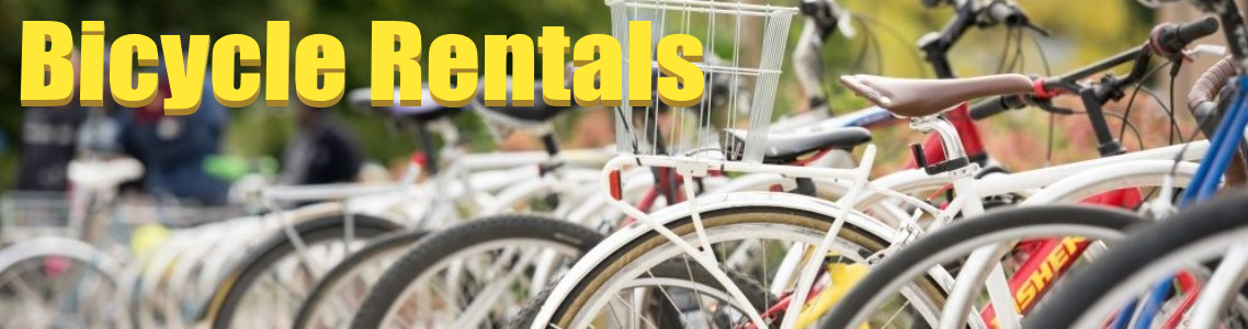 Bicycle rentals