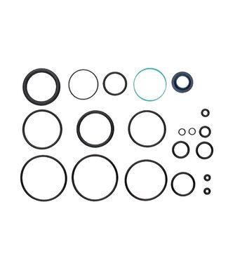 Fox 2021 DHX2 Damper Rebuild
