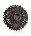 Shimano CS-HG31-8