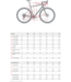 Argon 18 Grey Matter Apex XPLR AXS