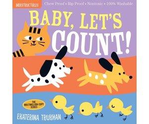 indestructible baby books