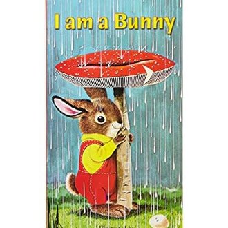 I am a Bunny