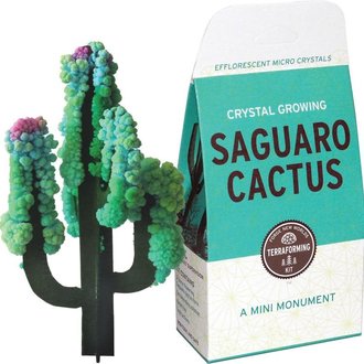 Crystal Growing Saguaro Cactus Crystal Growing Saguaro Cactus