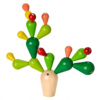 Balancing Cactus Balancing Cactus