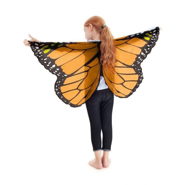 Douglas Butterfly Wings