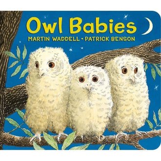 Owl Babies Board Book
