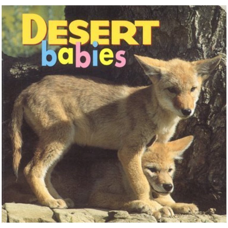 Desert Babies Board Book