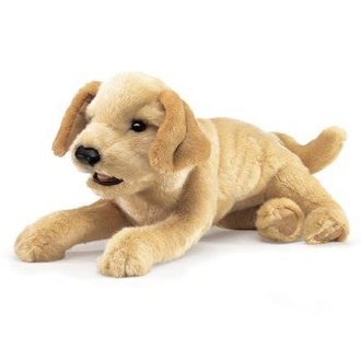 Folkmanis Golden Retreiver Puppy Puppet