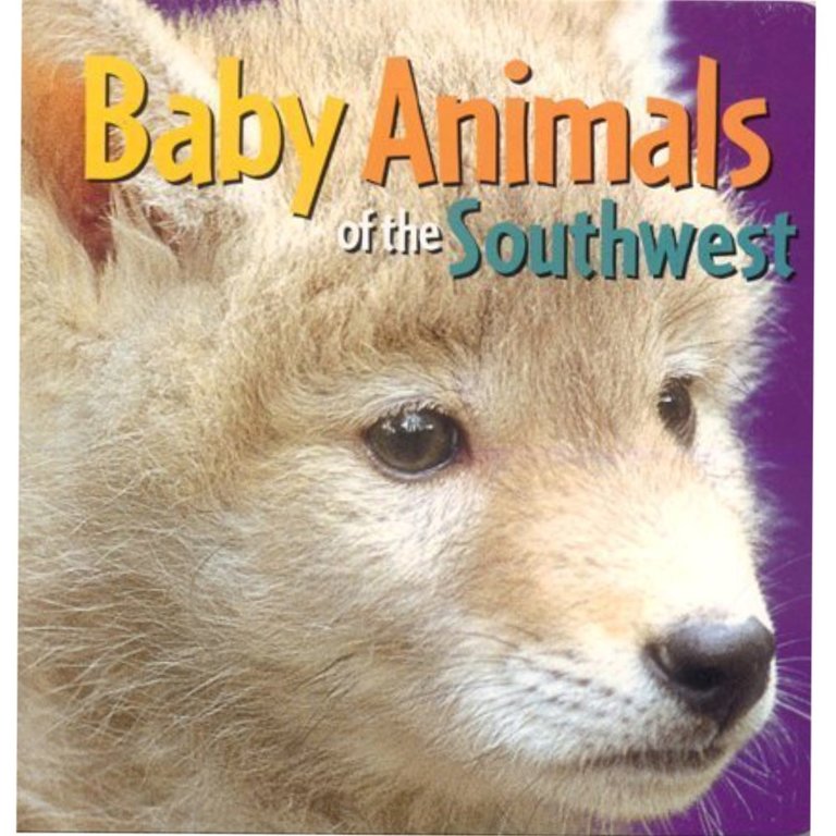 Baby Animals of the Southwest Board Book