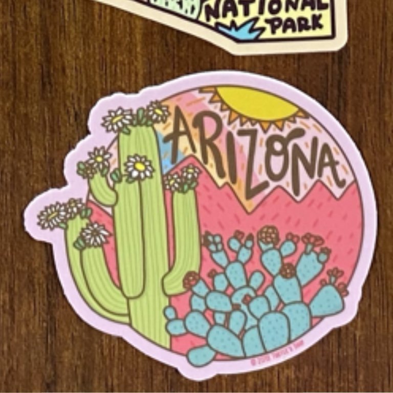 Turtle's Soup Arizona Vinyl Sticker