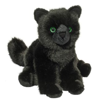 Douglas Salem Black Cat