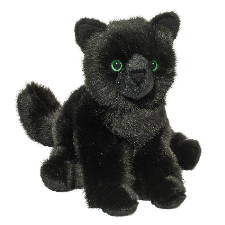 Douglas Salem Black Cat