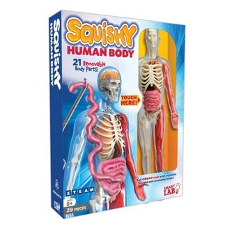 Squishy Human Body Lab Squishy Human Body Lab