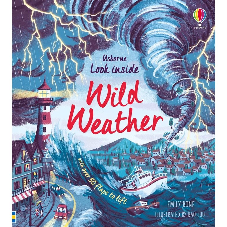 Usborne Books Look Inside Wild Weather