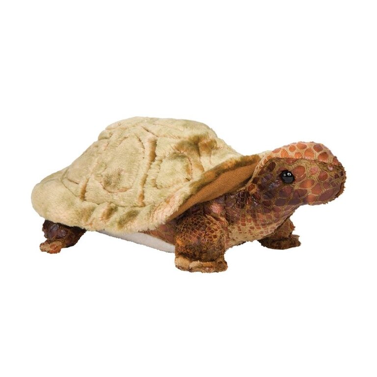 Douglas Speedy Tortoise